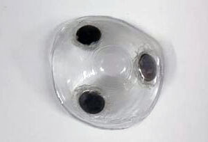Magnetic cup for pasties nipple covers