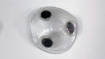 Magnetic cup for pasties nipple covers